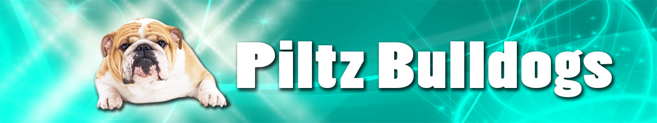 Piltz Bulldogs